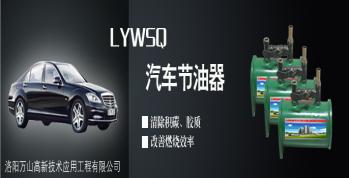 LYWSQ汽車節油器